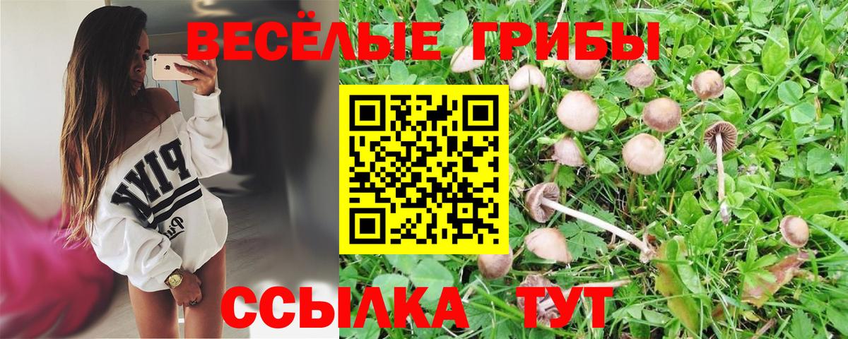 Назарово  Псилоцибиновые грибы ЛСД  Вход с VPN 